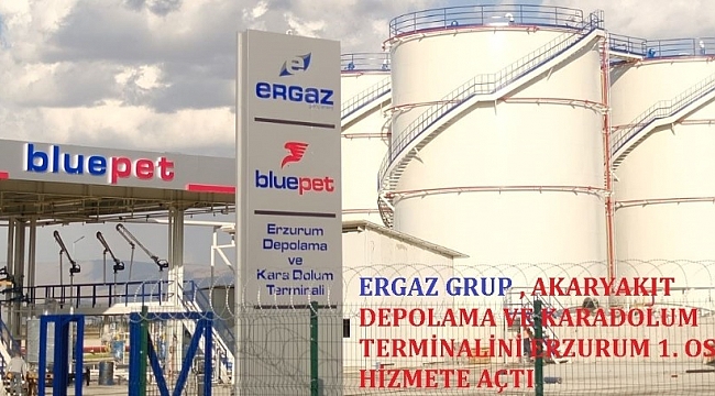 Türkiye Ekonomisine Ergaz enerjisi