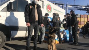 Ambarlı Limanı'nda muz konteynerinden uyuşturucu fışkırdı