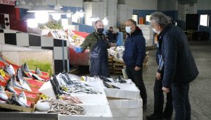 Balıkçılara mor ve mavi ışık denetimi