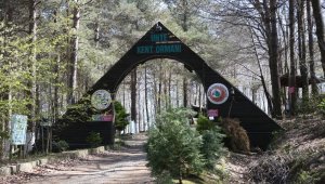 Denize en yakın orman turizme kazandırılıyor