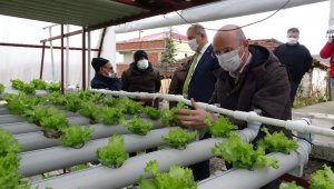 Doğu Karadeniz'de topraksız tarım dönemi