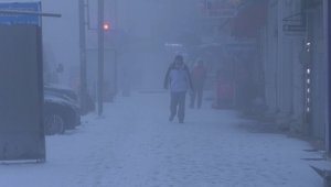 Kars'ta yoğun sis uçuşları engelledi