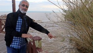 Kedileri kovalayan Alman kurdu köpek Düden Şelalesi'nden denize düşüp telef oldu
