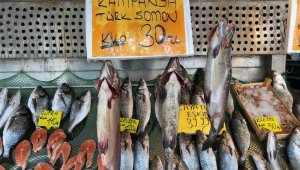 Norveç somonuna rakip Türk somonun kilosu 30 lira