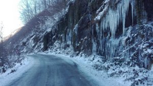 Ordu'dan 'donduran' görüntü