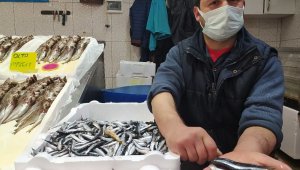 30 gün üzerine avlanmaya başlanan ve tezgahlara gelen hamsi, balıkçıları memnun etmedi