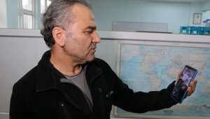 Adana'da görülen balina ve ay balığına uzman görüşü: "Anormallik yok"