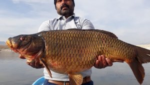 Baraj gölünde 150 santim uzunluğunda balık yakaladılar