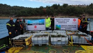 BOTAŞ'tan Saros Körfezi'nde gerçekleştirdiği proje alanına 100 bin ağaç