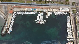 Deniz, balık yerine salya ile taştı