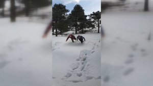 Denize atlar gibi karda yüzmeye çalıştılar