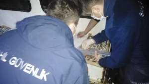 Karaburun balıkçı barınağında denetim