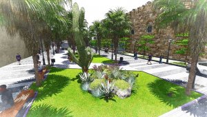 Kuşadası Belediyesi'nden palmiye açıklaması