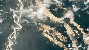 NASA yayınladığı fotoğraflarla Amazon'un "altın nehirlerini" ortaya çıkardı