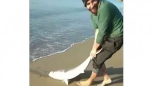 Oltası kopmasın diye 7 kiloluk balığı sürüyerek getirdi