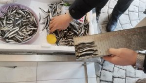 Ordu'da balık tezgahlarına soy ve mavi ışık denetimi