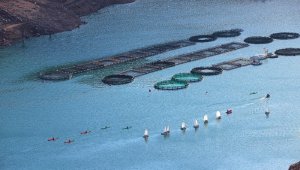 Topçam Barajı yelken ve kanolarla renklendi