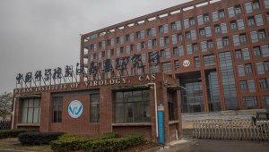 Wuhan'da incelemelerini sürdüren DSÖ'nün İngiliz üyesinden endişelendiren açıklama