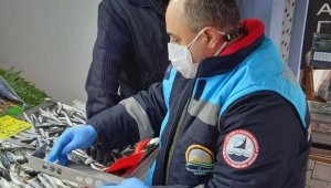 Kırklareli'nde tezgahlardaki balık boyları denetlendi