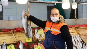 Sezonu bitirmeye hazırlanan balıkçılardan uyarı: "Varken yiyelim"