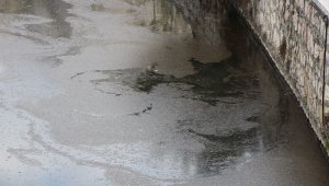 Yeşilırmak'ta üzen görüntü
