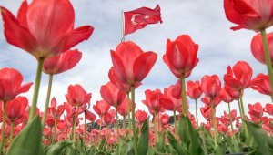 Nevşehir'de bahar güzelliği