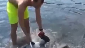 Antalya'da turistlerin yarım metrelik balon balığı heyecanı