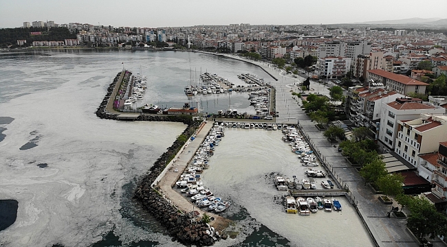 Çanakkale Boğazı deniz salyası ile kaplandı