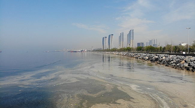 Deniz salyası istilası Pendik Sahillerine kadar geldi!