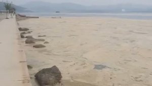 Gemlik Narlı sahilleri beyaza büründü