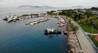 Kartal Sahili deniz salyasından temizlendi