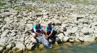 Denizli'de göllere 210 bin adet yavru sazan bırıkıldı!