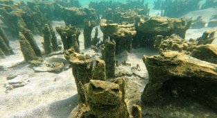 Van Gölü'nde yeni mikrobiyalitler keşfedildi!