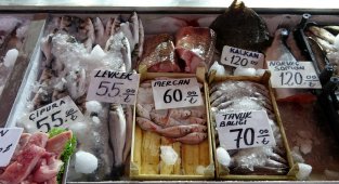 Balıklar yüksek fiyatlardan alıcı buluyor