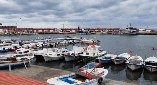 Poyraz, balık fiyatlarını kötü etkiledi!