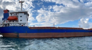 Pearl Naval 700 teu'luk bir konteyner gemisi daha ekledi!