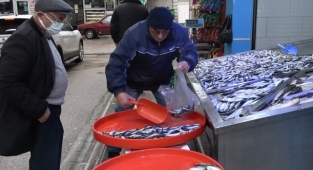 Hamsi geri geldi, balıkçılar neşelendi
