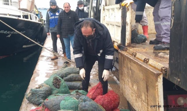Tuzla'da 14 ton kaçak midye yakalandı!