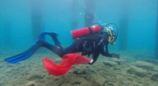 Deniz dibi tertemiz oldu