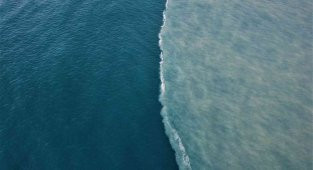 Mersin'de dere suyu, denizin rengini kahverengiye dönüştürdü