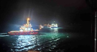 Mısır yüklü kargo gemisi karaya oturdu