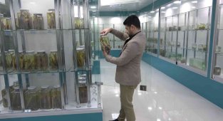 Türkiye'nin en zengin balık müzesine yurt dışından yoğun ilgi