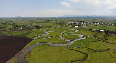 Kars'tan doğuyor Hazar Denizi'ne dökülüyor